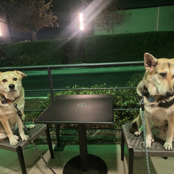 Meet your Posher, Pat - Picture 17 of 17